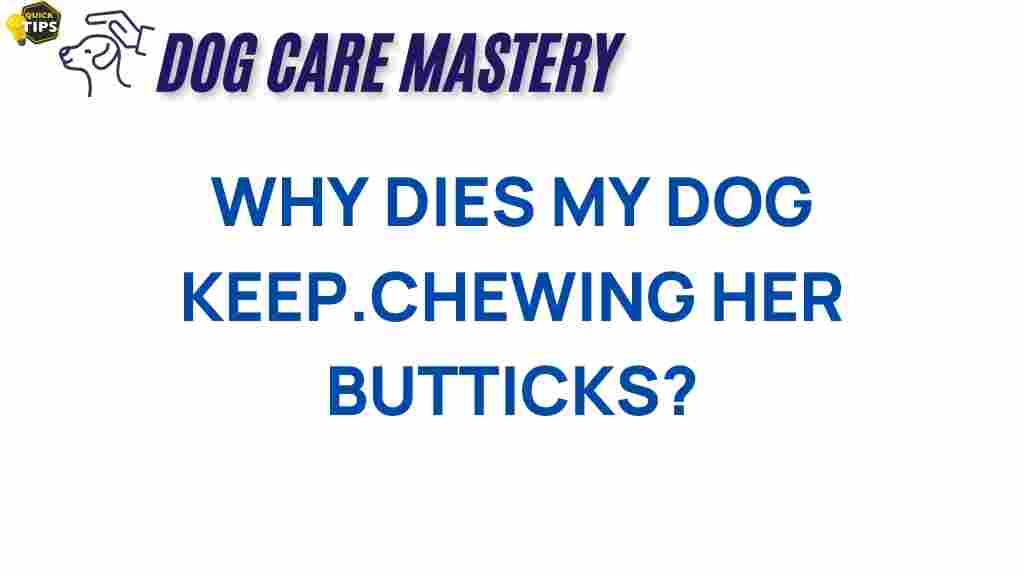 why-does-my-dog-keep-chewing-her-butt