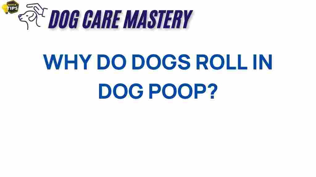 why-do-dogs-roll-in-dog-poop
