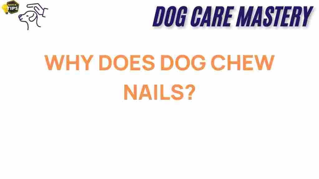 dog-behavior-nail-chewing