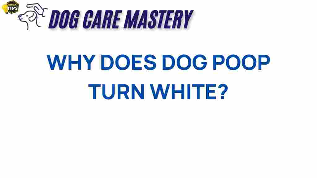 dog-poop-white
