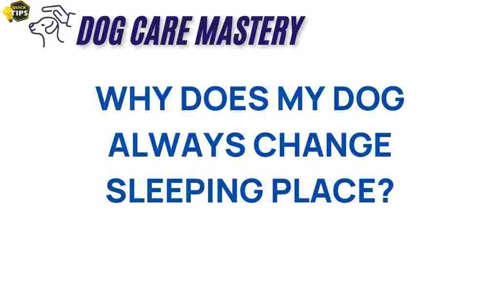 dog-behavior-sleeping-spots