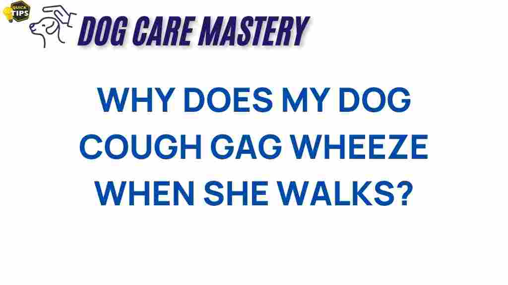 dog-cough-wheeze-when-walking