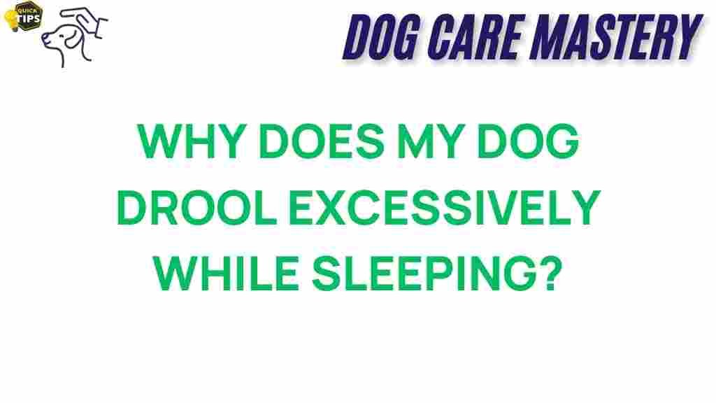 dog-drooling-sleeping-mystery