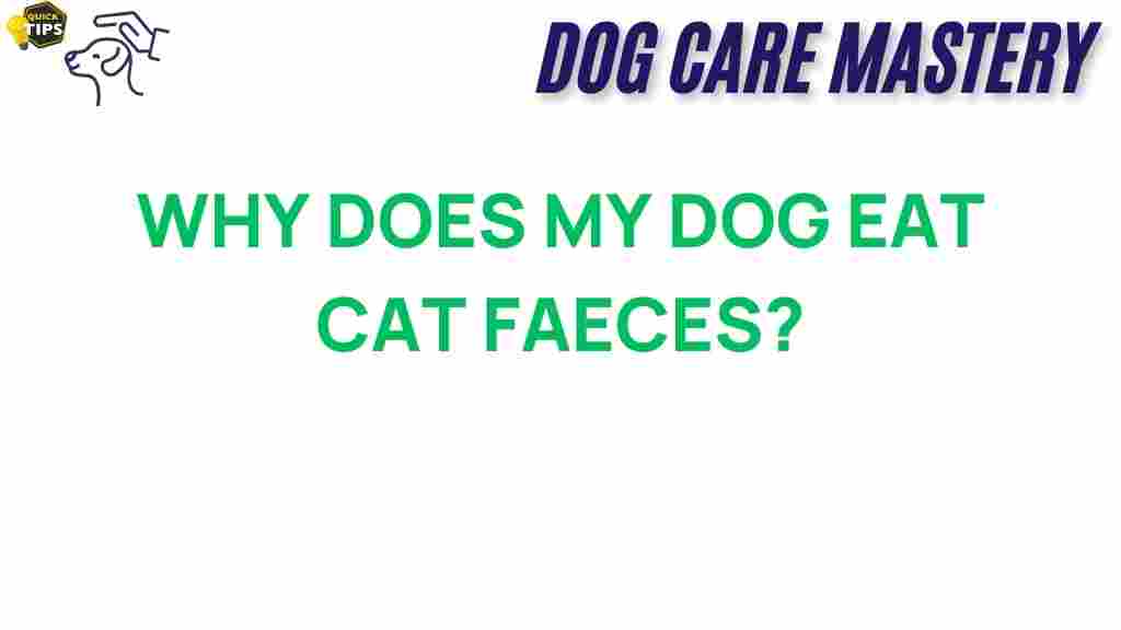 dog-eat-cat-faeces