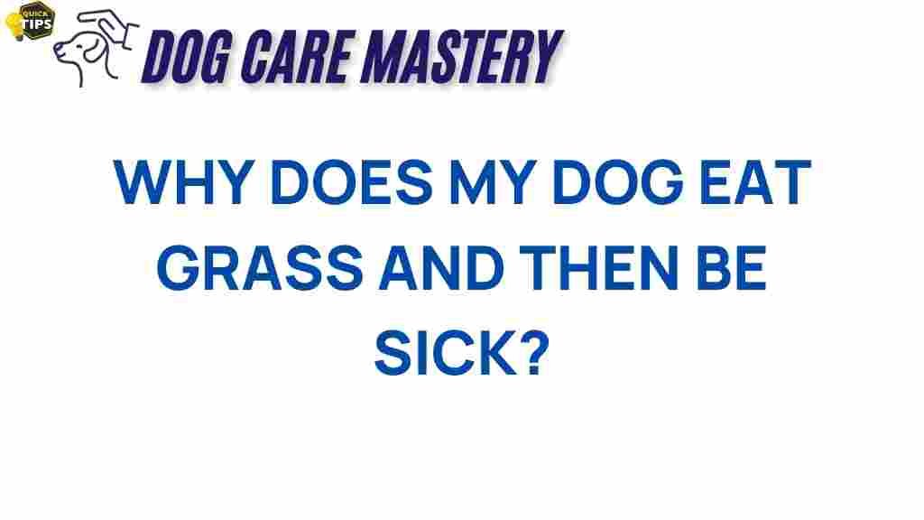 dog-behavior-grass-eating