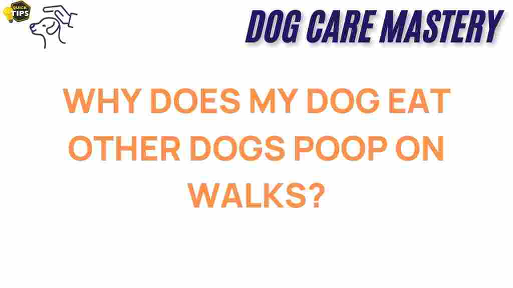 dog-behavior/why-does-my-dog-eat-poop
