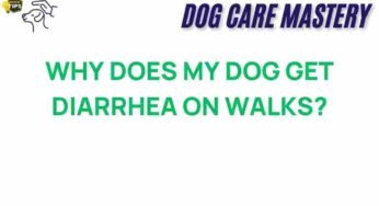 Unraveling the Mystery: Why Does My Dog Get Diarrhea on Walks?