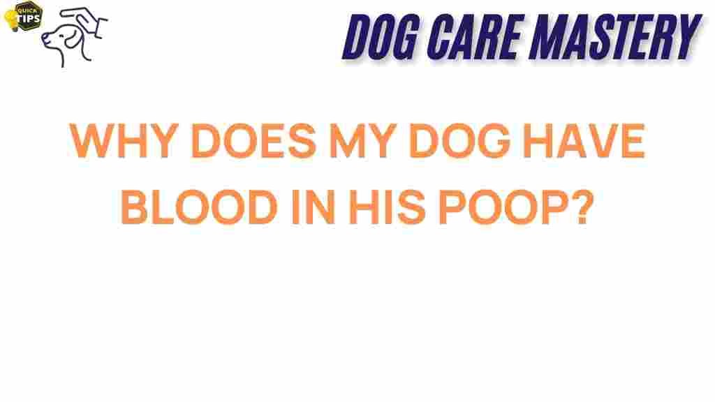 blood-in-dog-poop