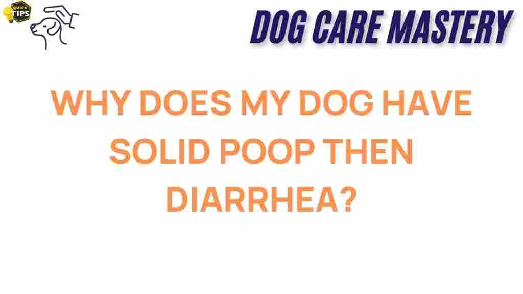 dog-health-diarrhea-solid-poop