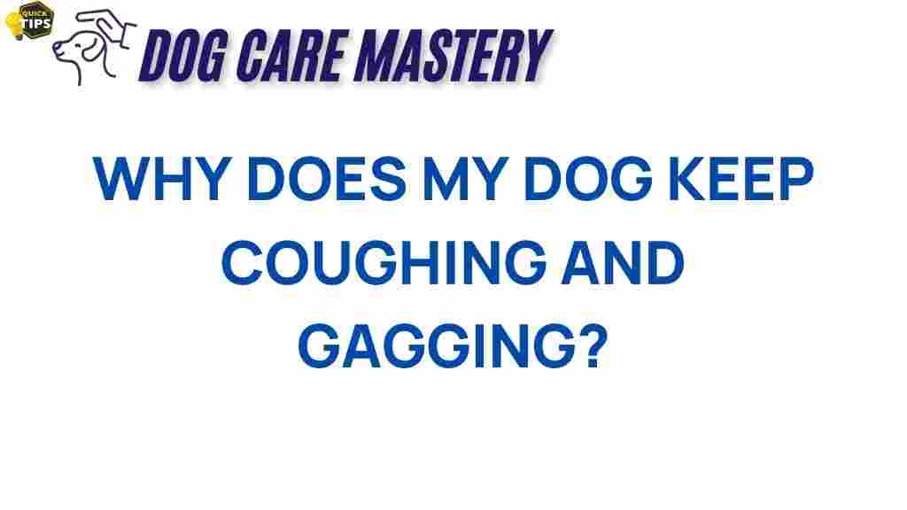 dog-coughing-gagging-reasons