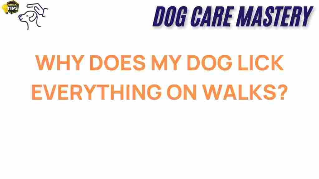 dog-licking-everything-on-walks