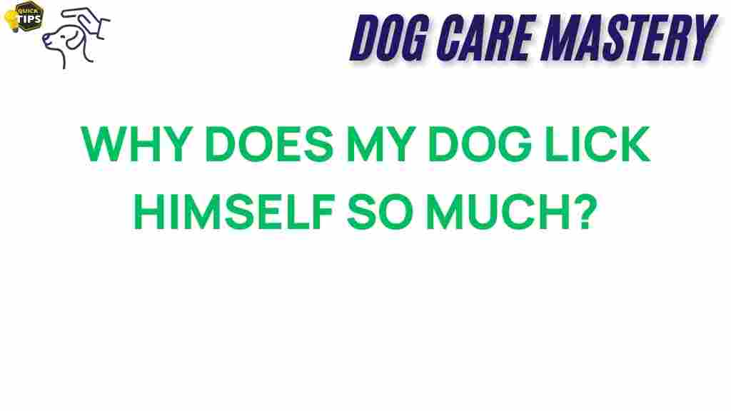 dog-licking-behavior