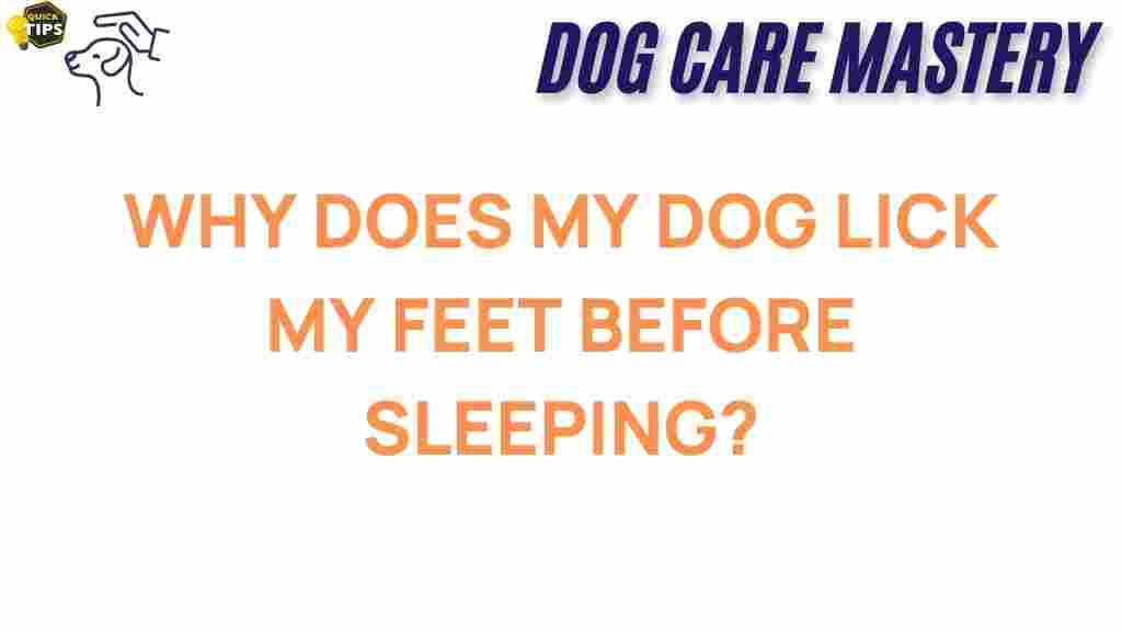 dog-behavior-licking-feet-sleeping