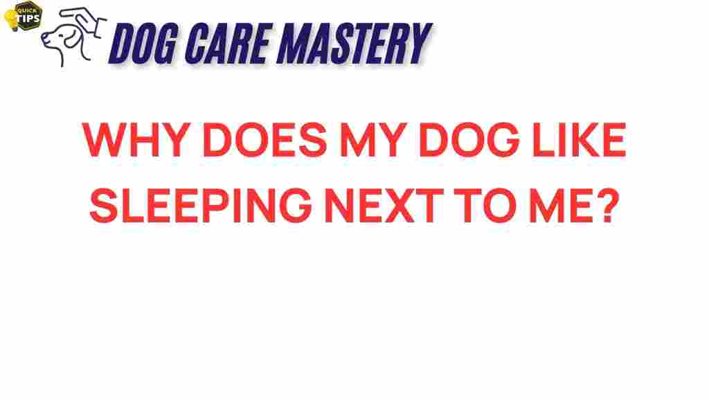 why-does-my-dog-sleep-next-to-me