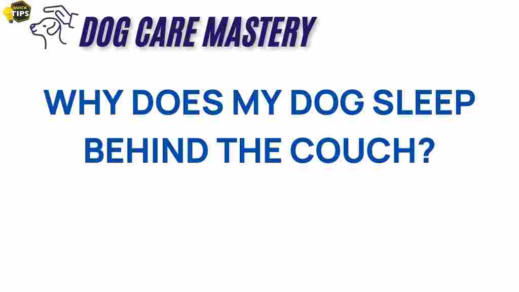 dog-behavior-sleep-behind-couch