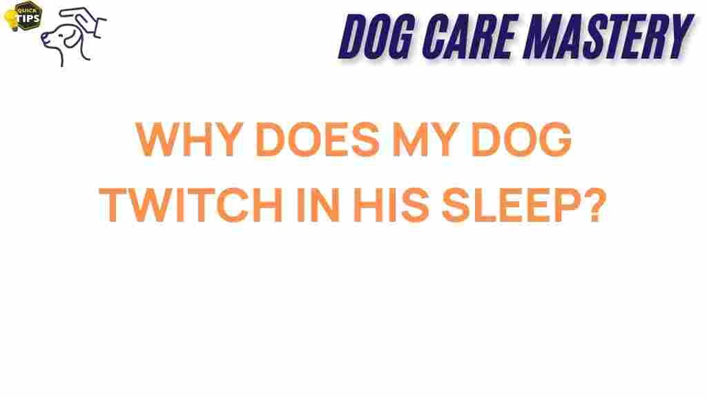 dog-twitching-in-sleep