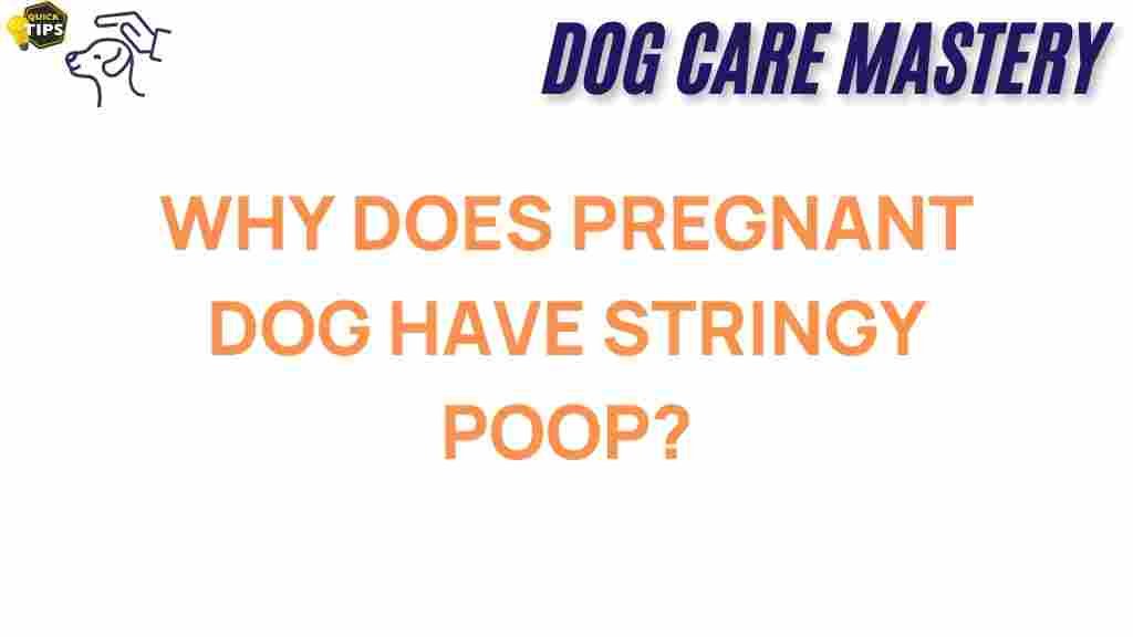 pregnant-dog-stringy-poop