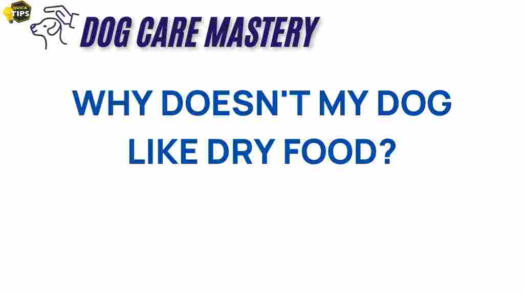 why-doesnt-my-dog-like-dry-food
