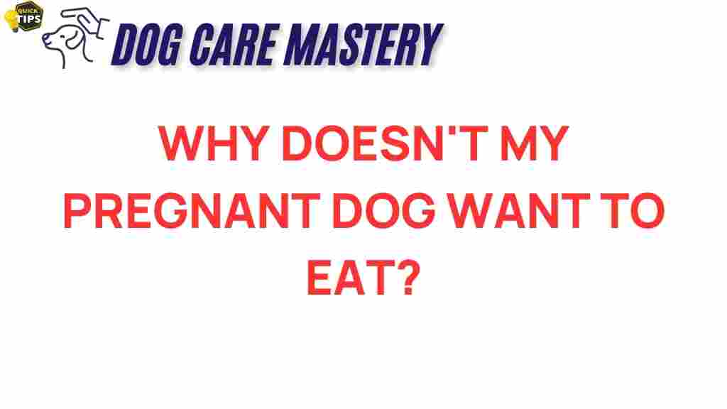 pregnant-dog-loss-of-appetite