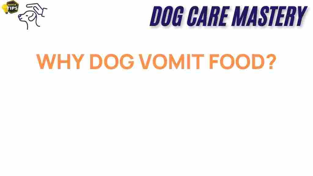 dog-vomit-food-reasons