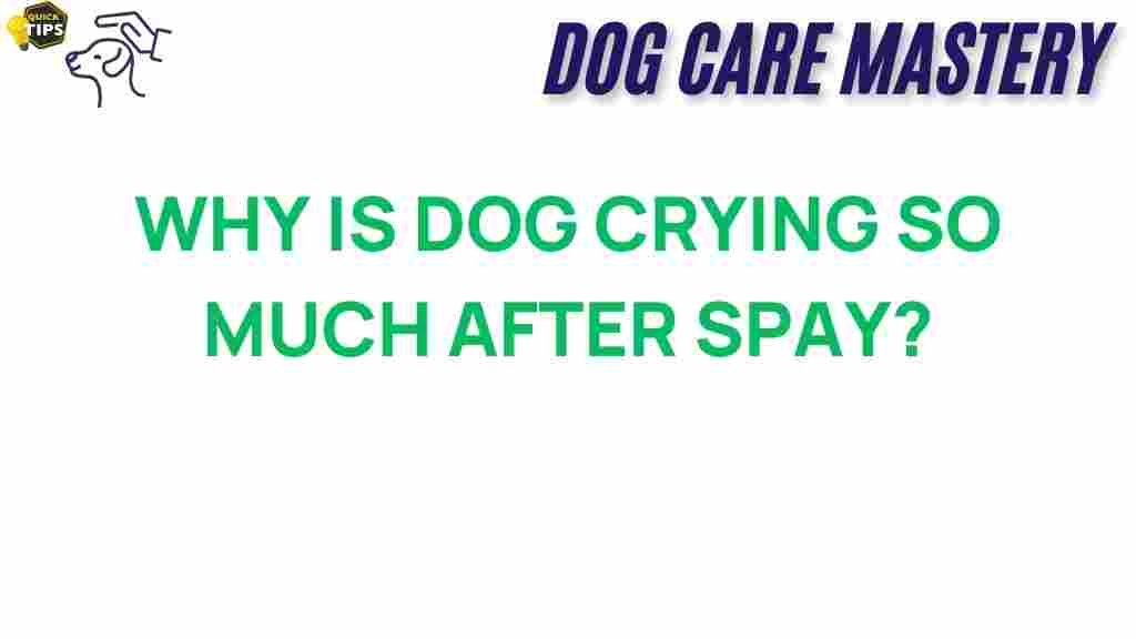 dog-crying-after-spaying