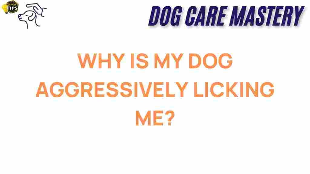 understanding-dog-aggressive-licking