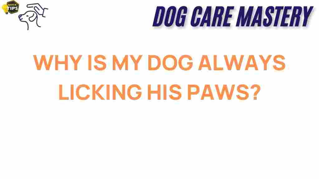 dog-licking-paws-mystery