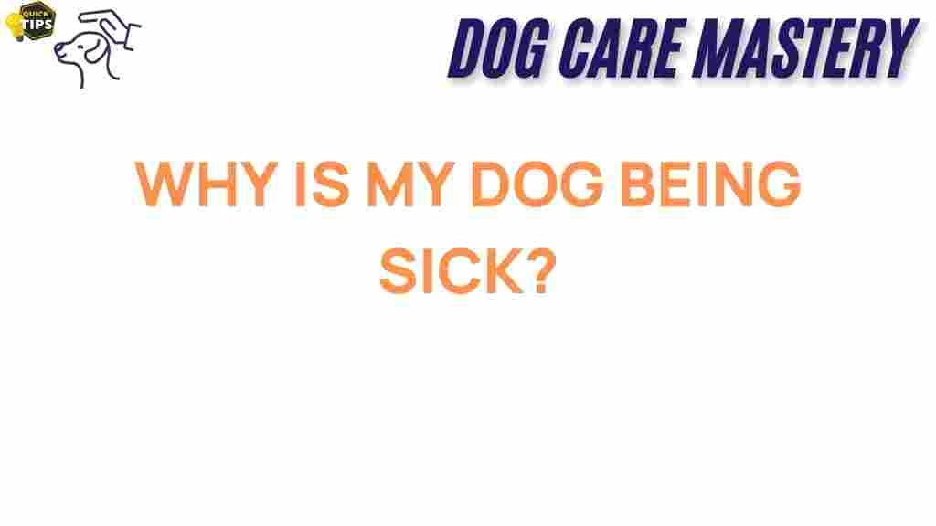 unlock-dog-sick-mystery