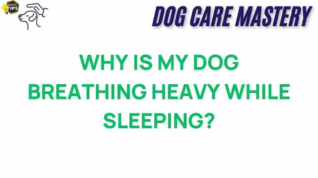 dog-breathing-heavy-sleeping