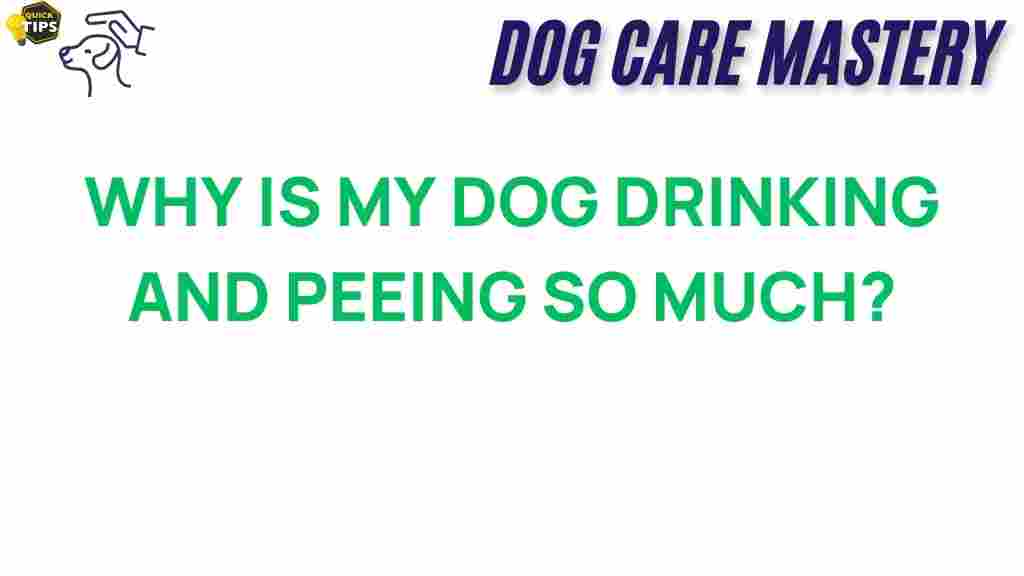 why-is-my-dog-drinking-and-peeing