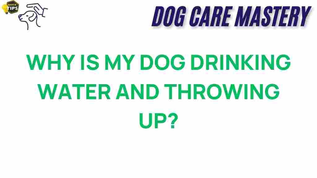 dog-drinking-water-throwing-up