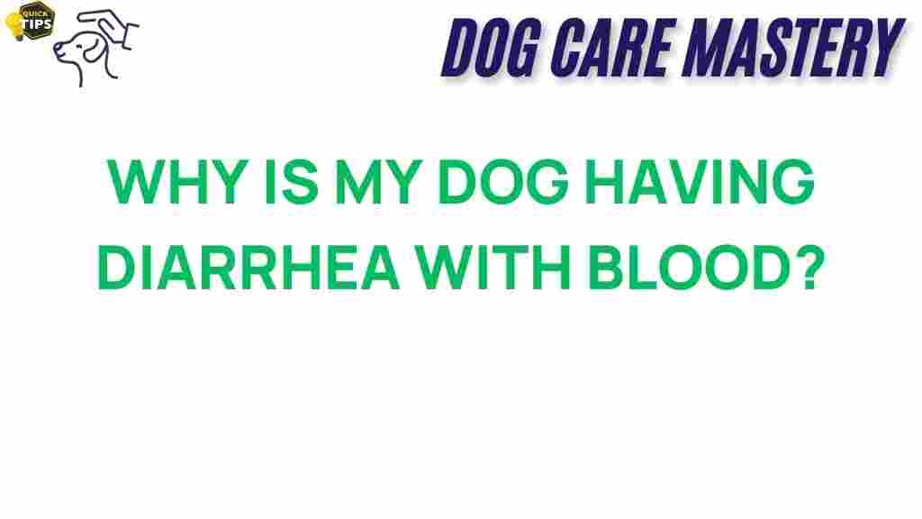 dog-diarrhea-blood