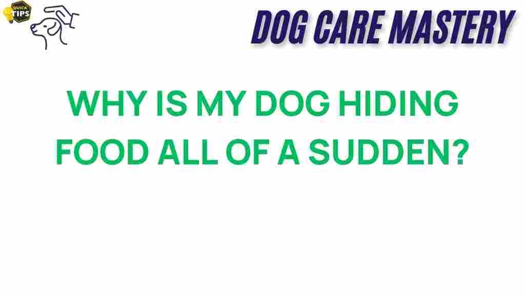 dog-hiding-food-mystery