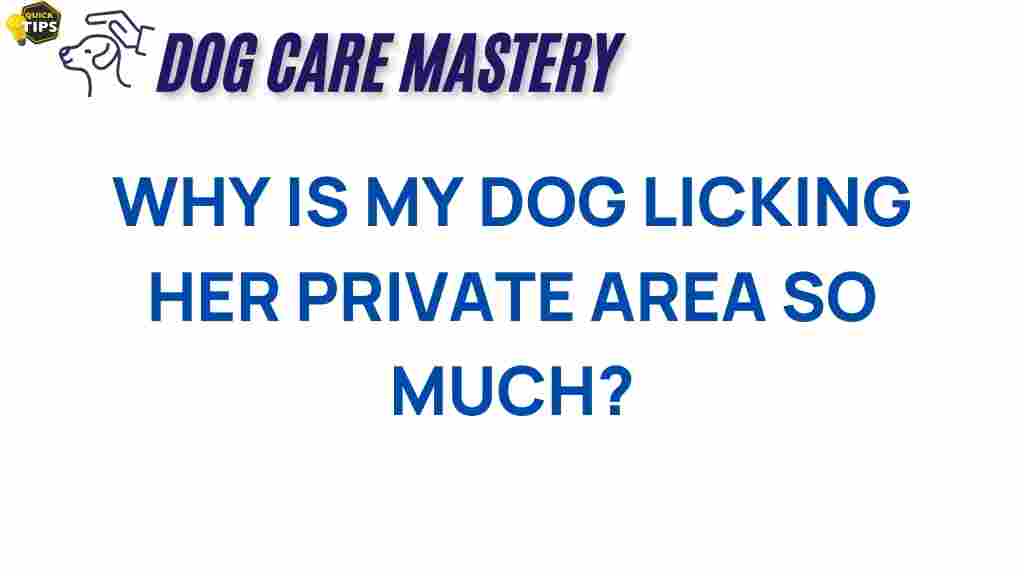 dog-licking-private-area