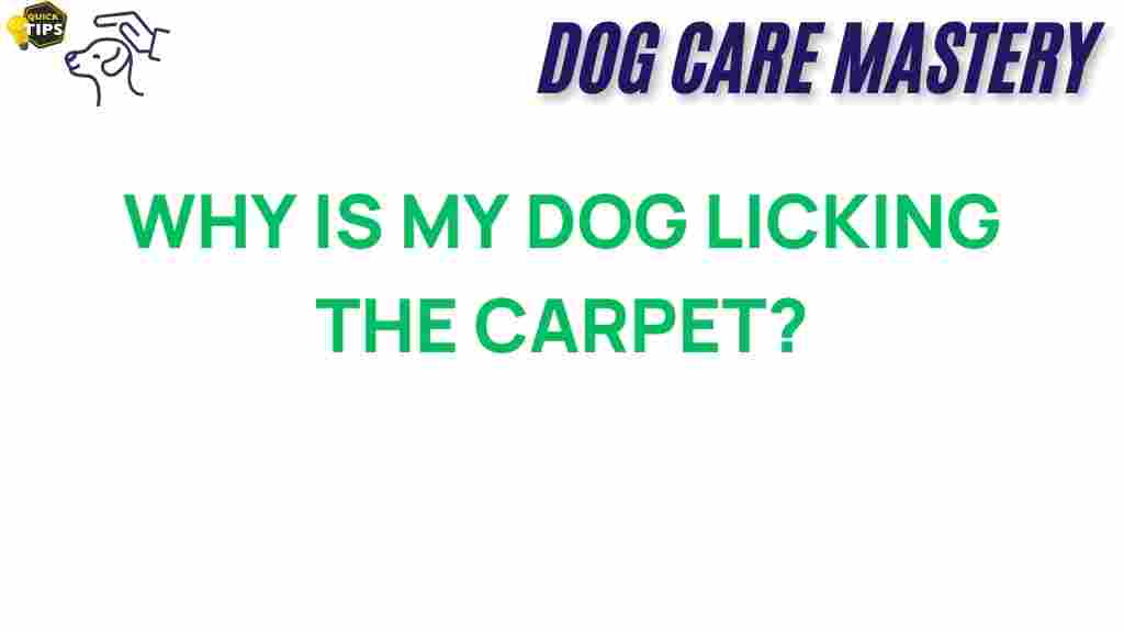 dog-licking-carpet