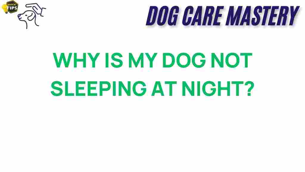 dog-sleep-issues