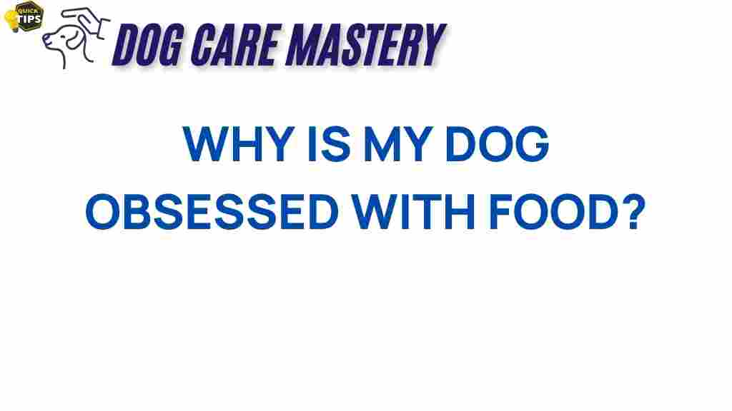 dog-obsessed-with-food