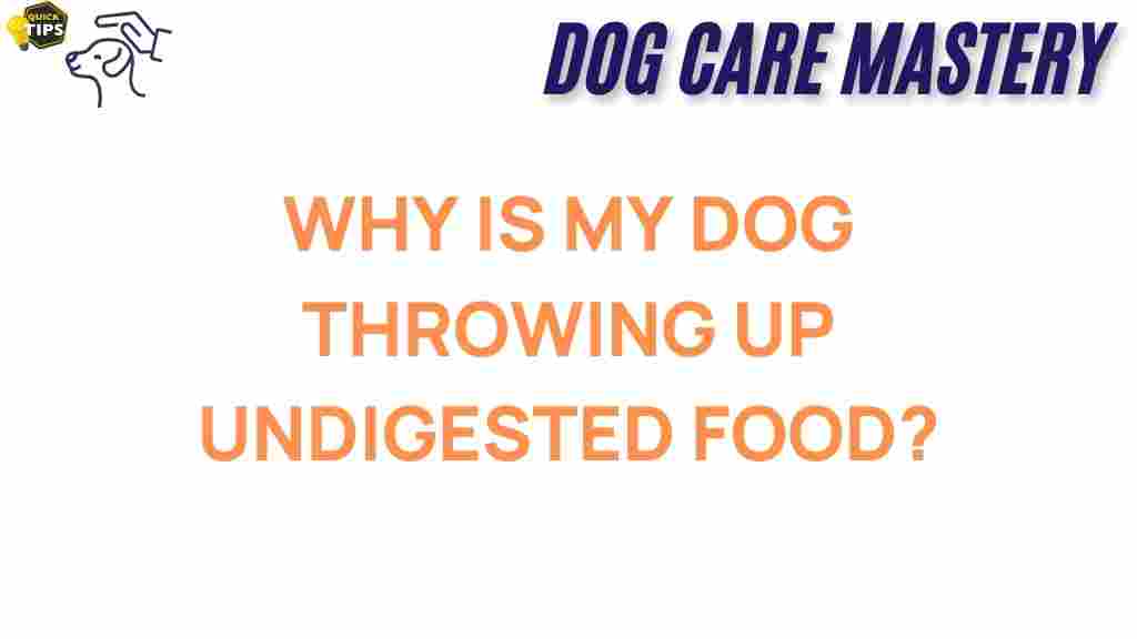 dog-vomiting-undigested-food