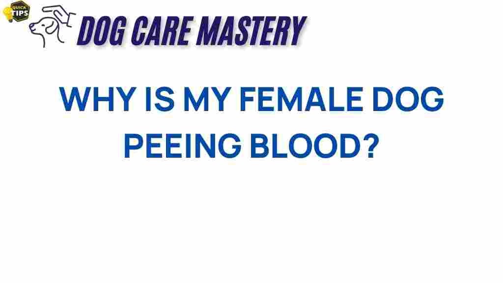female-dog-peeing-blood