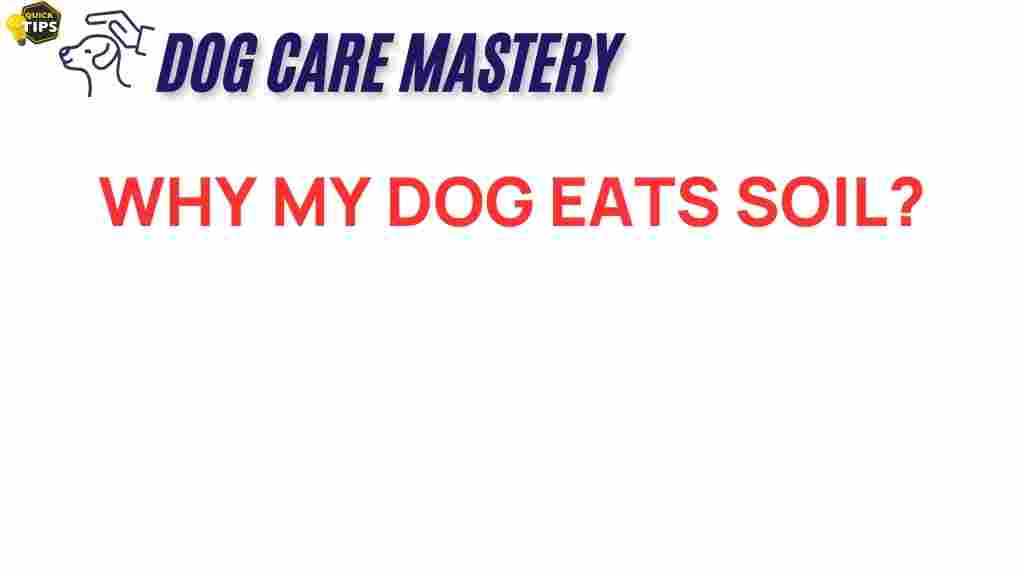 why-my-dog-eats-soil