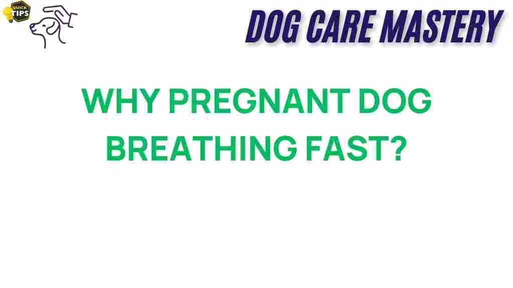 pregnant-dogs-breathing-fast