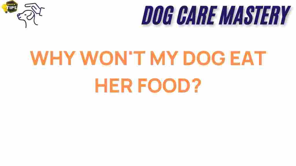 dog-appetite-mystery