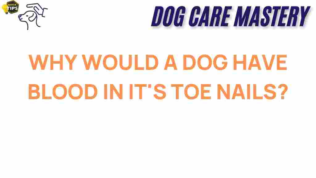 blood-in-dogs-toenails