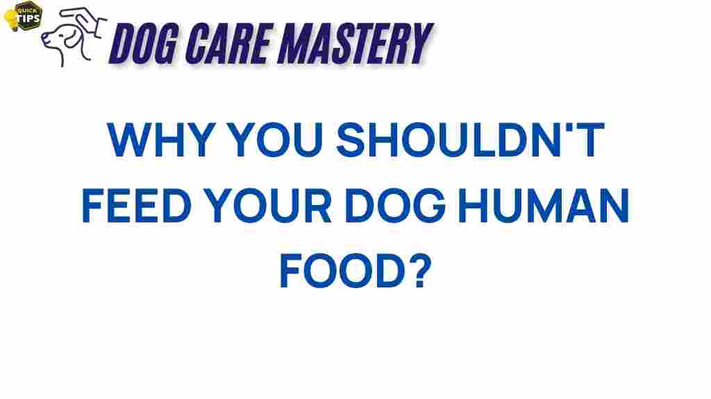 dog-health-human-food-risks
