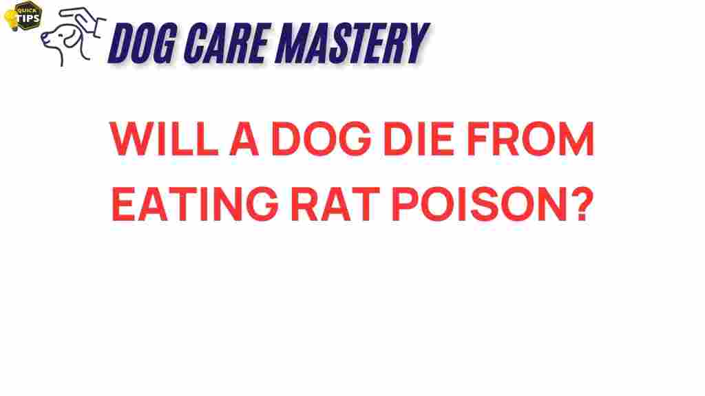 rat-poison-dog-health