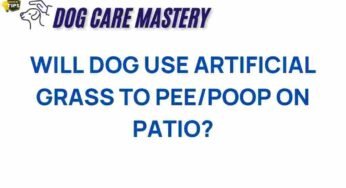 Will Dogs Embrace Artificial Grass as Their New Bathroom?