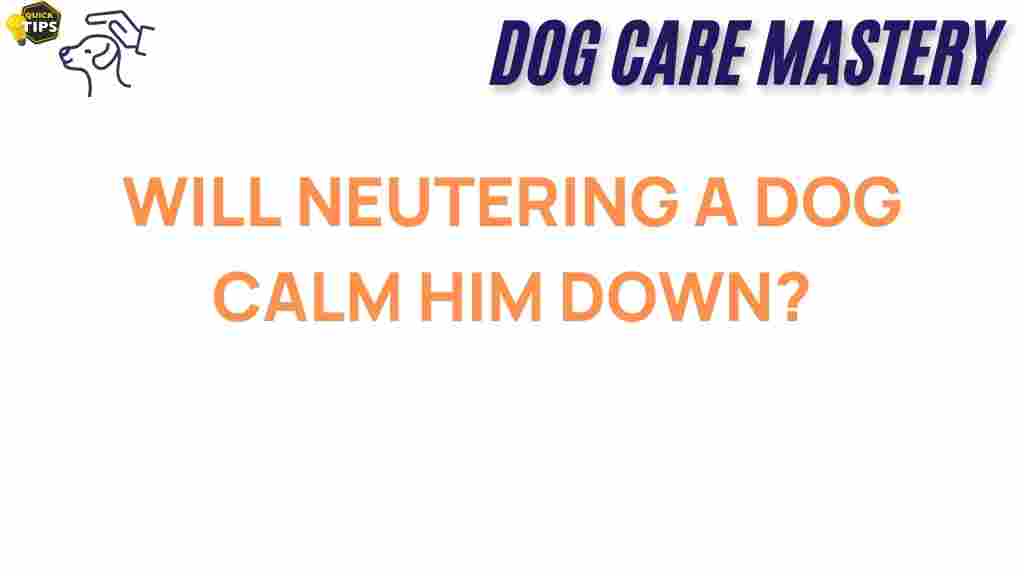 neutering-dog-calm-behavior