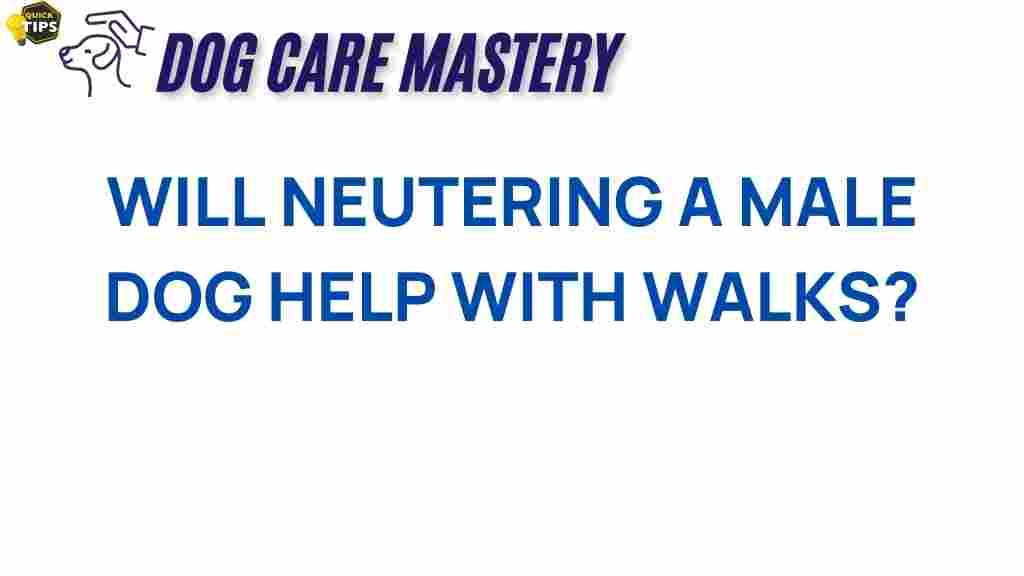 neutering-male-dog-walks