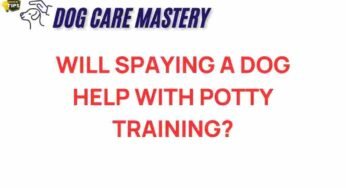 Can Spaying Your Dog Improve Potty Training Success?