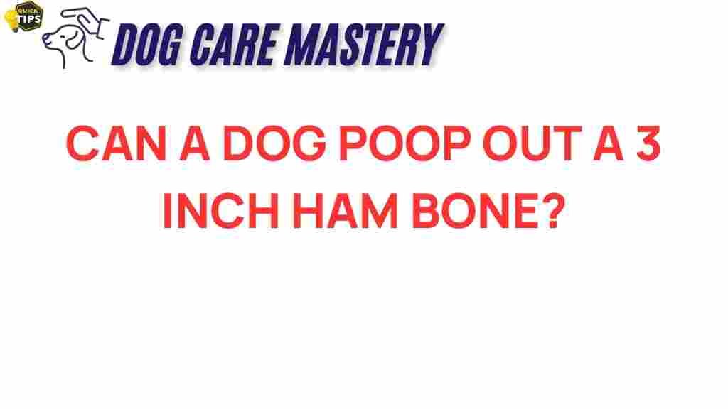 can-dog-digest-3-inch-ham-bone